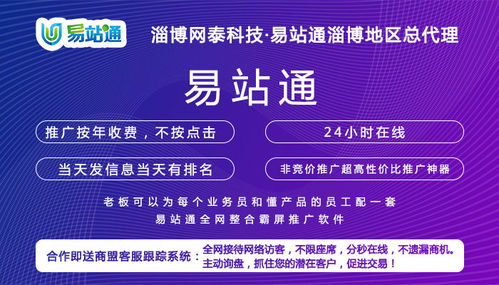 惠民網絡推廣效果好服務介紹——淄博網泰科技，以專業經驗與技術開發助力企業騰飛